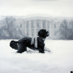 Deep in the Snow