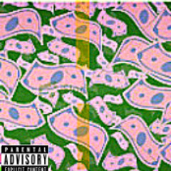 R.A.P (Prod. Mr. Sisco) (Bonus)