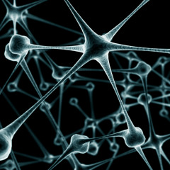 Veno - Neurons