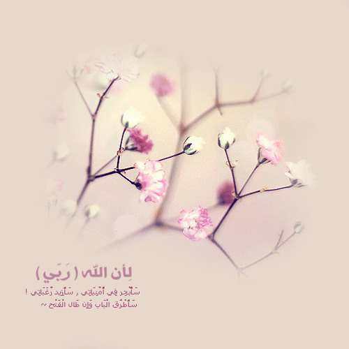 ..لِأَن الْلَّه {رَبِّي} سأَصْبِرٌ ~