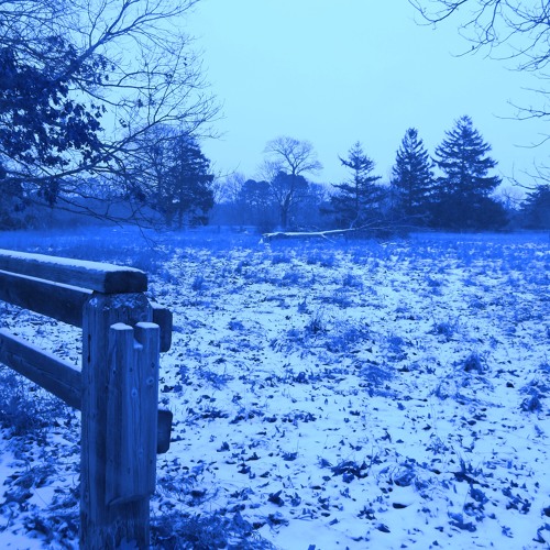 Ambient