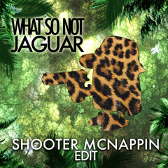 What So Not - Jaguar (Shooter McNappin Edit)