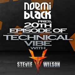 Stevie Wilson @ Technical Vibe Podcast #20