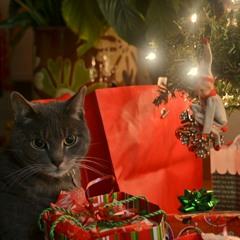 The Christmas Song (Chestnuts Roasting On An Open Fire)