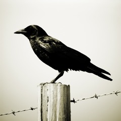 The Crow, Six A.M.