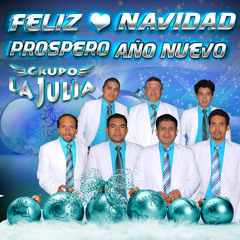 Navidad Sin Ti - Grupo La Julia