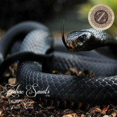 Ventil Shape - Black Mamba (Original Mix)