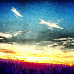 BloodFlood(Alt-j)- Beard Beats Cover (feat. Zach Morris)