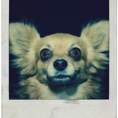 Bombeetho (#InTheMood)