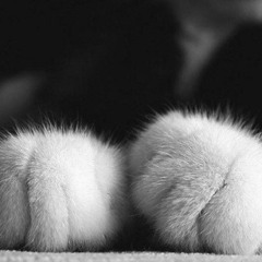 Đừng Là Cả Thế Giới Của Nhau - Hồng Phước