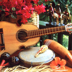 Musica de Navidad con Tommy Tee Gomez