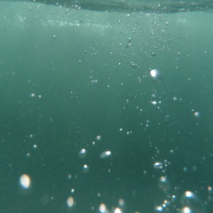 See The Sea (The Lonely Ocean)