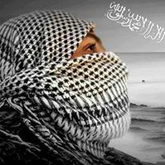 قالوها الحمساوية
