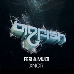 Feri & Multi - XNOR (Original Mix)