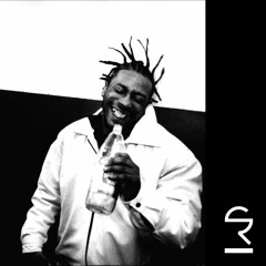 S.R. feat. O.D.B. & Kelis - Got Your Money (O.D.B.R.I.P.)