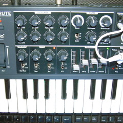 MicroBRUTE multi modulation (synth demo by LIQUID LIMBS)
