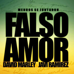 David Marley & Javi Ramírez ''Falso Amor'' (Radio Edit)