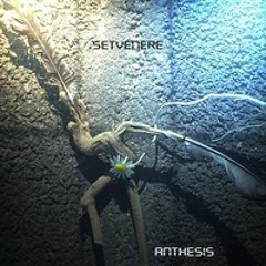 Setvenere - Time