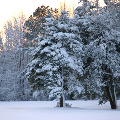 In The Bleak Midwinter