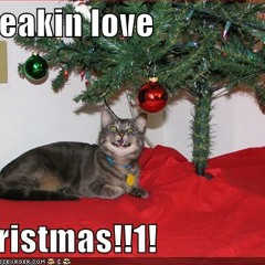 OMGBUKU (Dont know wtf to call this but merry christmas bitches)