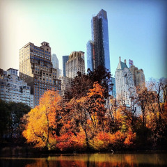Autumn 2013