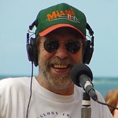 Ron Snyder - Newsman, Bluesman, Buzz Kilman (1990)