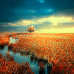 Sweet Melancholy (Original Version) //  FREE DL