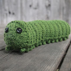 Caterpillar Dreams