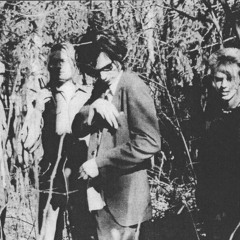 02 Aut. Barn- Meadowqueens