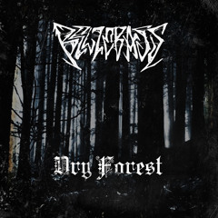 DRY FOREST - BELZEBASS (FREEDOWNLOAD SATANIC XMAS GIFT)