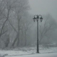 Małgorzata Koperska - Through the Fog