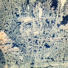 Silent Night, Merry Christmas.