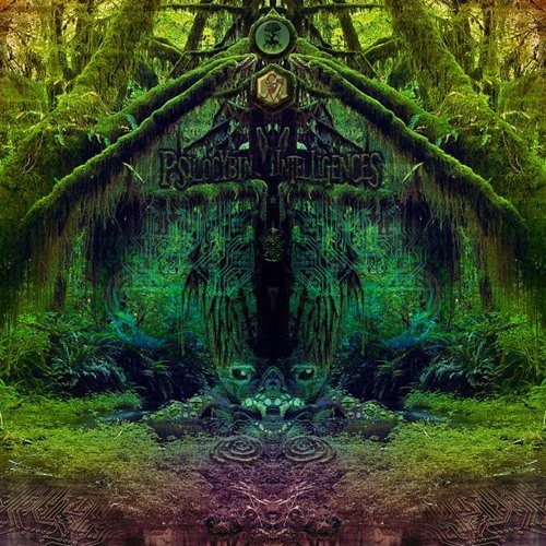 Reality Check (Released on V/A Psilocybin Intelligences Free download in Wav)