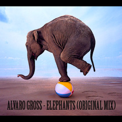 Alvaro Gross - Elephants (Original Mix) OUT NOW !!!