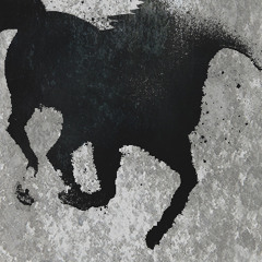 Dark Horse (Converge Cover)