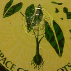 I Love 2 Smoke It> Super Dub Tribe  at Paradise Found!