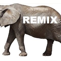 James Brown - Get Up (Many Elephants Funkyderm Mix)