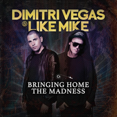 DIMITRI VEGAS & LIKE MIKE - Bringing Home The Madness (Live 21.12.13 Belgium)