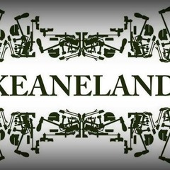 BEDSHAPED - KEANELAND (Tributo A Keane) Liverpool Bar Palermo  -  11 - 2013