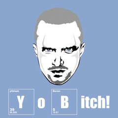 Jesse Pinkman: Bitch!