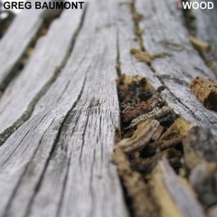 Greg Baumont - Why