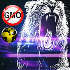 ANIMALS JINGLE BELLS MARTIN GARRIX/SERAFIN/MUC EXTENDED REMIX