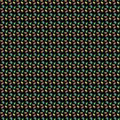 tirai palaminan at My home