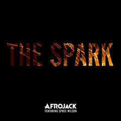 Afrojack feat. Spree Wilson - The Spark (DeeLectro Mash Up)