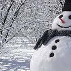 Danny C - Winter Wonder Sound