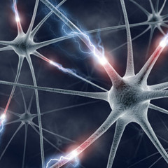 Shaita & The Surreal Funfair & Gregor - 20 W