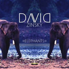 David Zinsky - Elephants