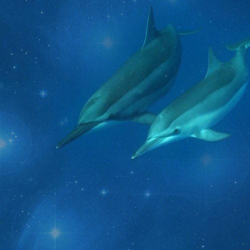 Joy is Yours Forever featuring Bashar