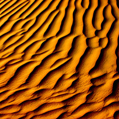 Tesis Proyecto Desierto