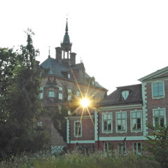 GULDKATT Ludvig I Sekken